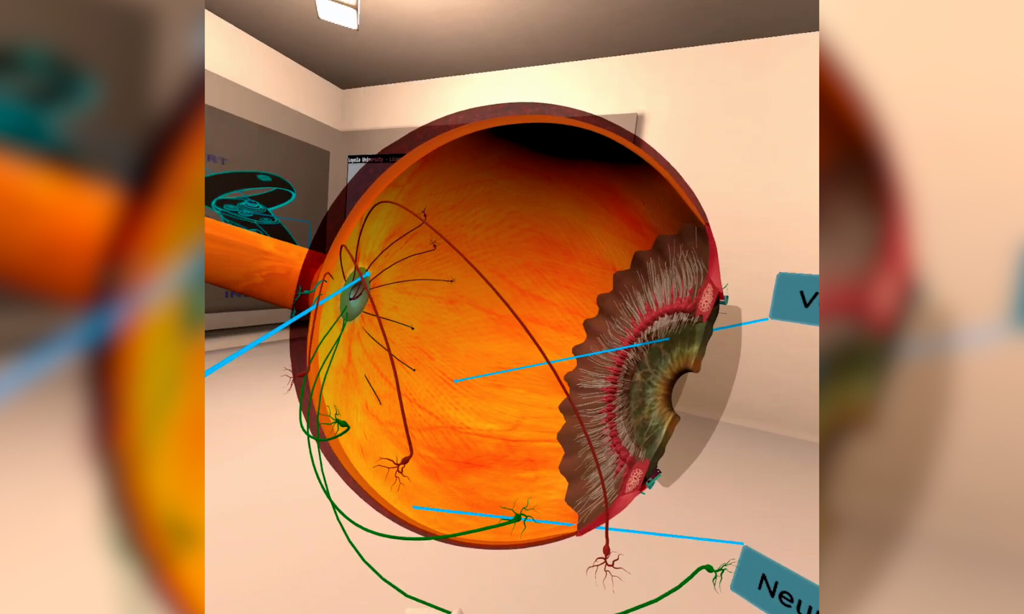 View inside OcuSim