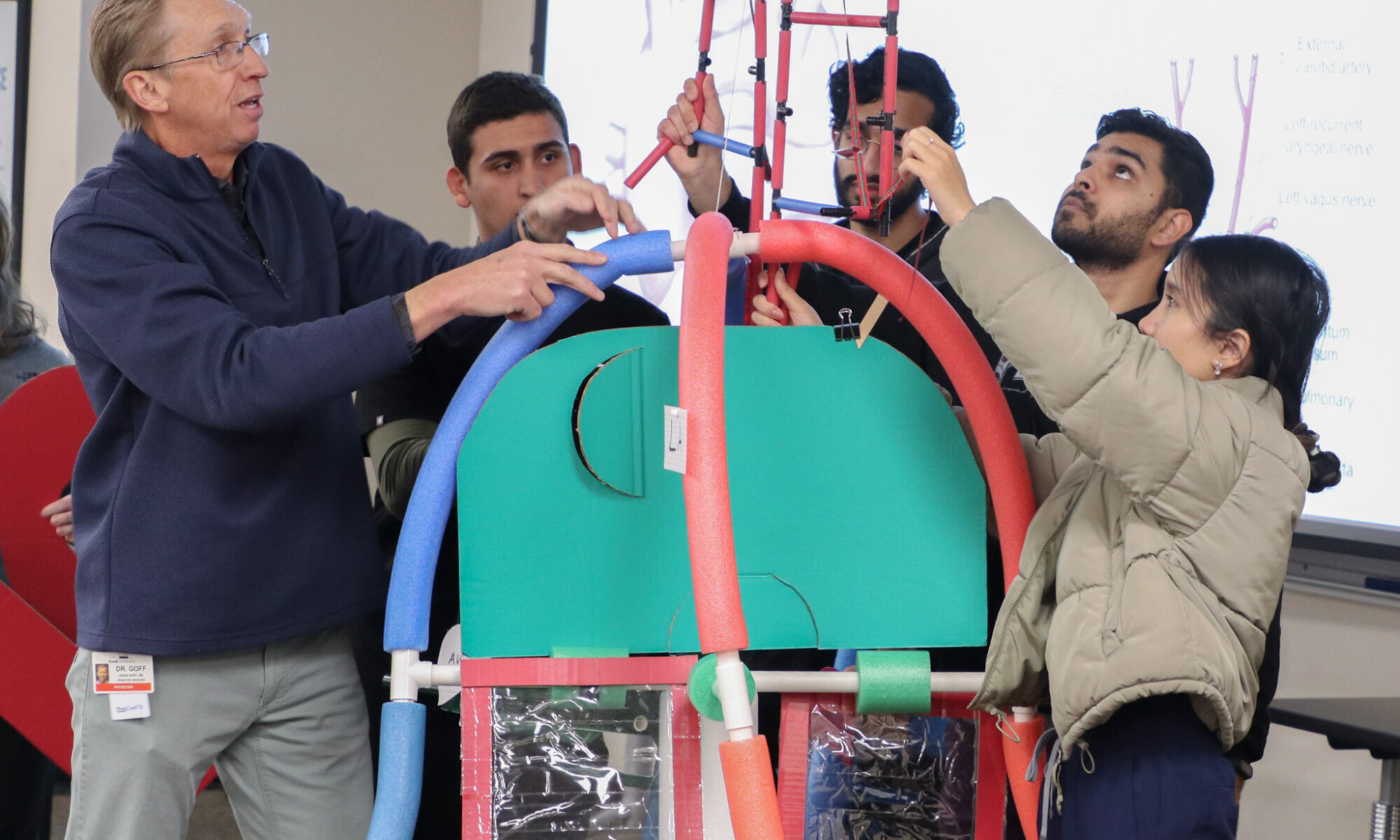 Faculty member David Goff, M.D., far left, uses pool noodles and PVC pipes to teach medical students about embryology at the Anne Burnett Marion School of Medicine at Texas Christian University in Fort Worth.