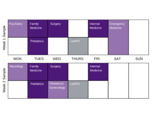 Two-week medical staff schedule chart. Week 1 has entries for Psychiatry, Family Medicine, Surgery, Internal Medicine, Emergency Medicine, Pediatrics, and LeAPS across Monday to Sunday. Week 2 includes Neurology, Family Medicine, Surgery, Internal Medicine, Pediatrics, Obstetrics/Gynecology, and LeAPS. Each day is color-coded indicating different medical specialties for Phase 2.